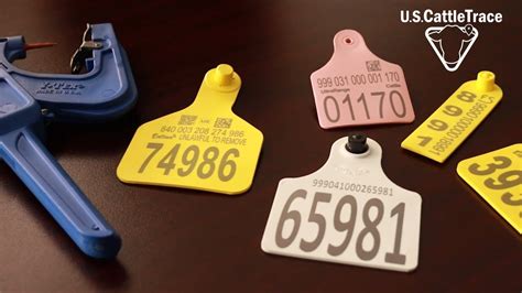 rfid cattle tags for sale|official usda cattle id tags.